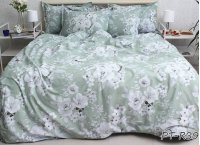 Постельное белье Turkish Cotton TAG - PT-R39 (Турция), двуспальный